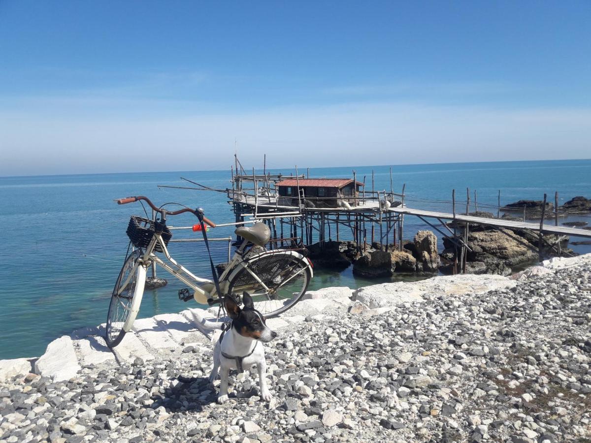 Casa A 20 Metri Dal Mare! Apartment Fossacesia Luaran gambar